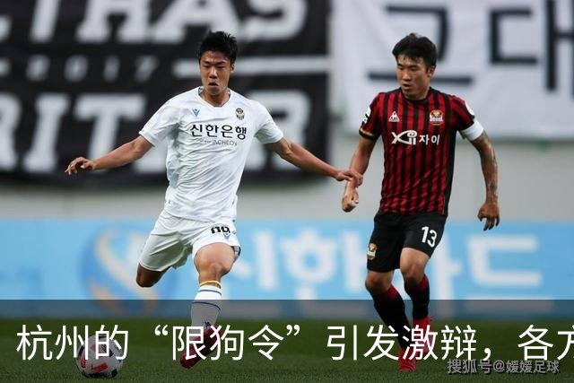 杭州的“限狗令”引发激辩，各方观点交锋不断